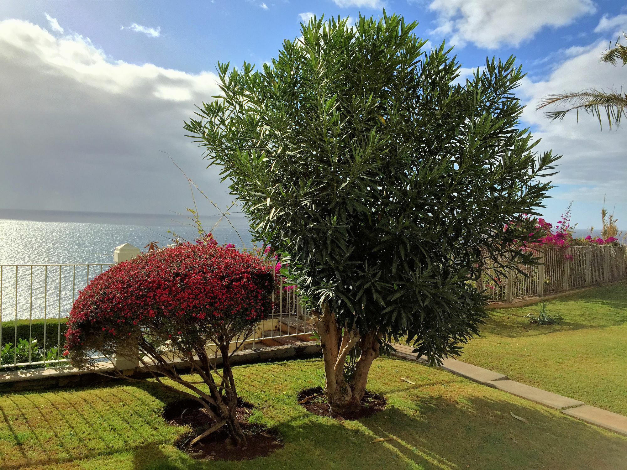 Finest Rentals - Beachfront Penthouse Funchal  Exterior foto